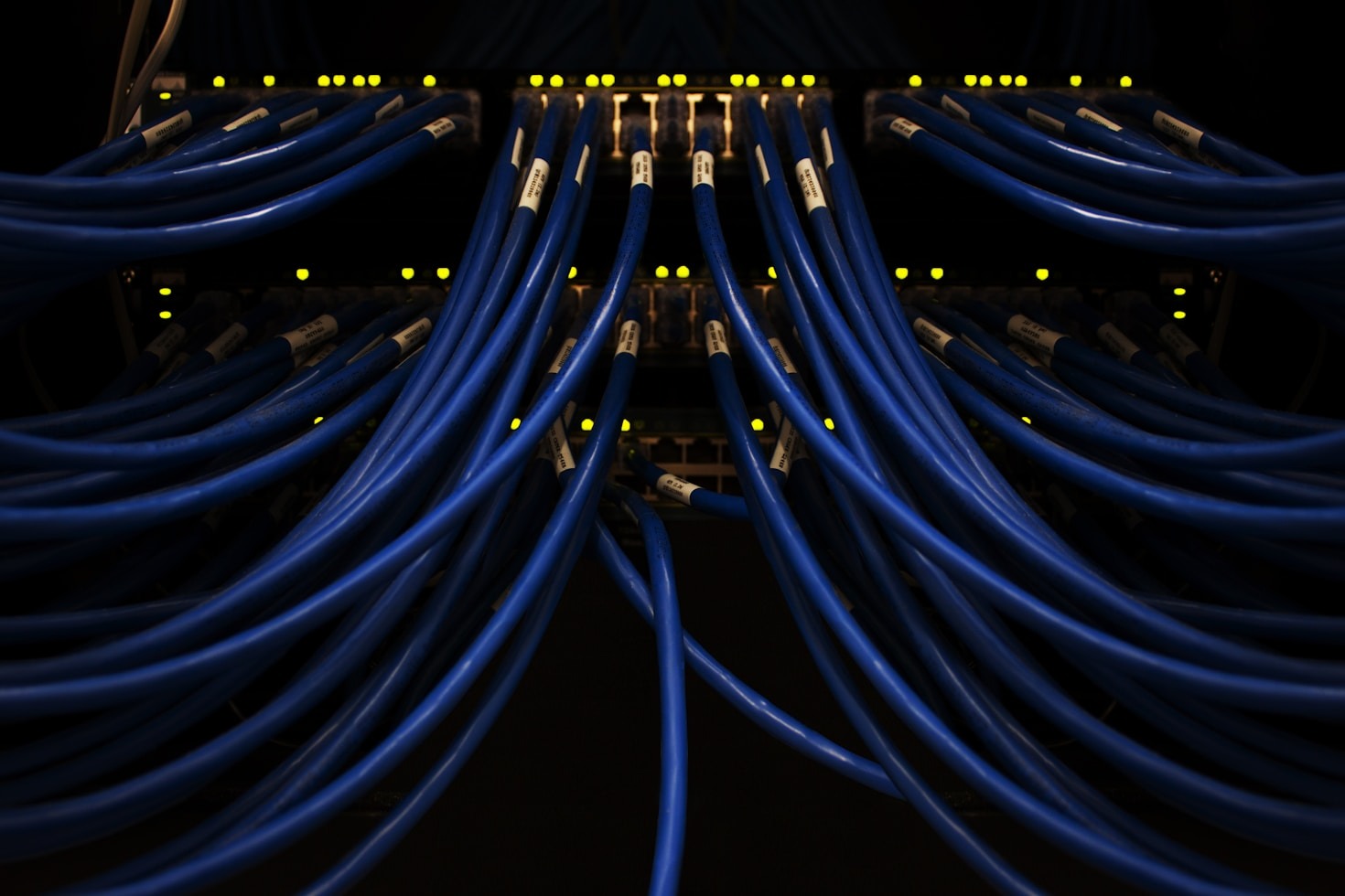 The Role of AI in Modern Cyber Defense
